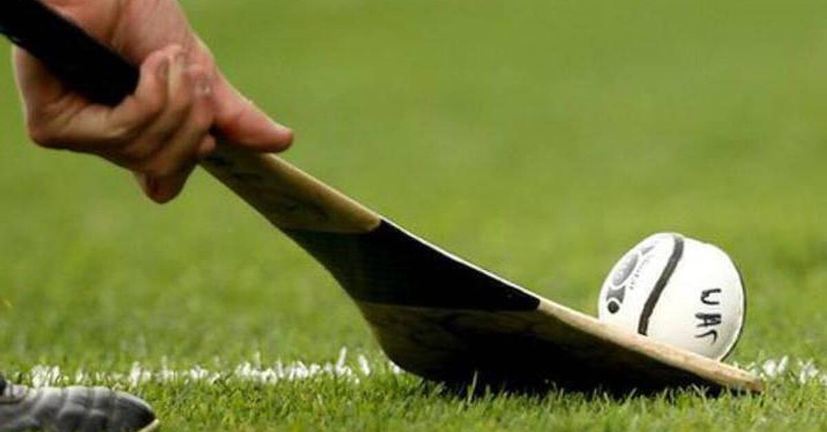 Marauding Magpies create their own storm to return to senior hurling