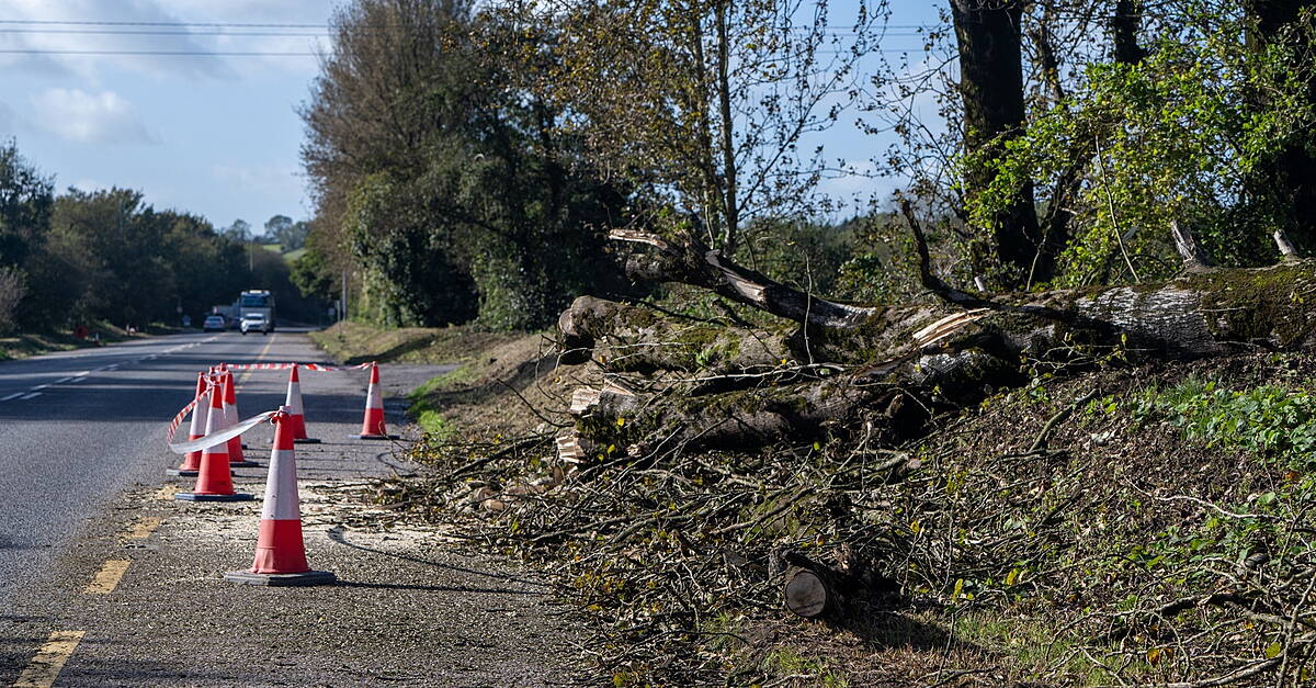 Orange warnings in Galway and Kerry as Storm Boelo heavy rain and damaging winds