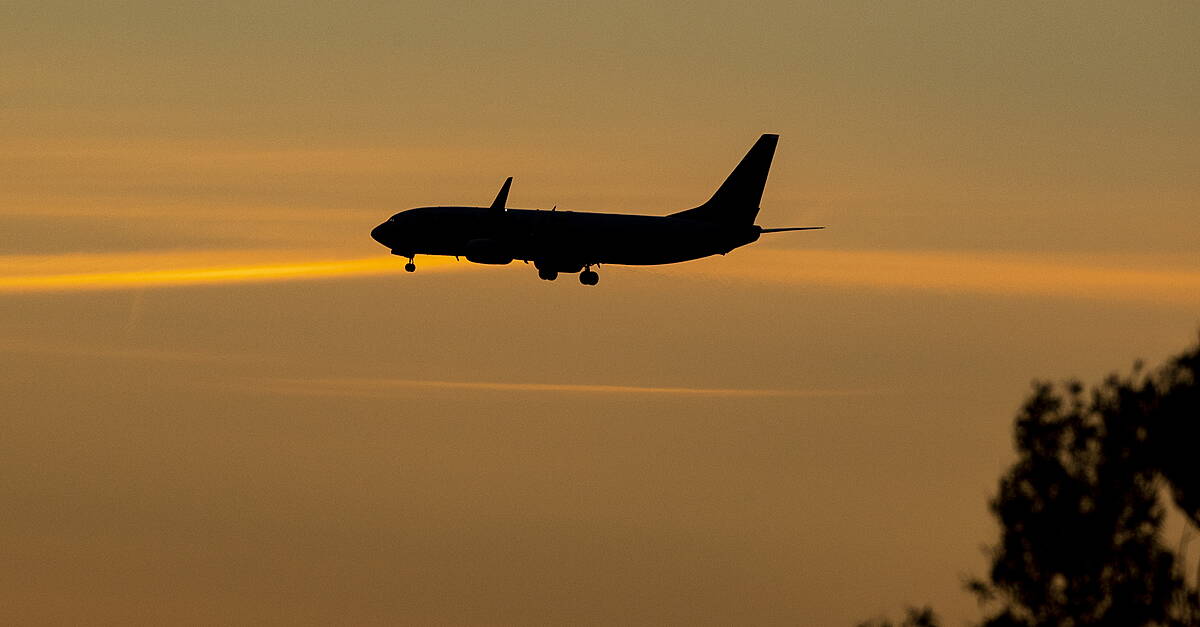 Three in four European airline pilots report cockpit microsleeps, survey finds