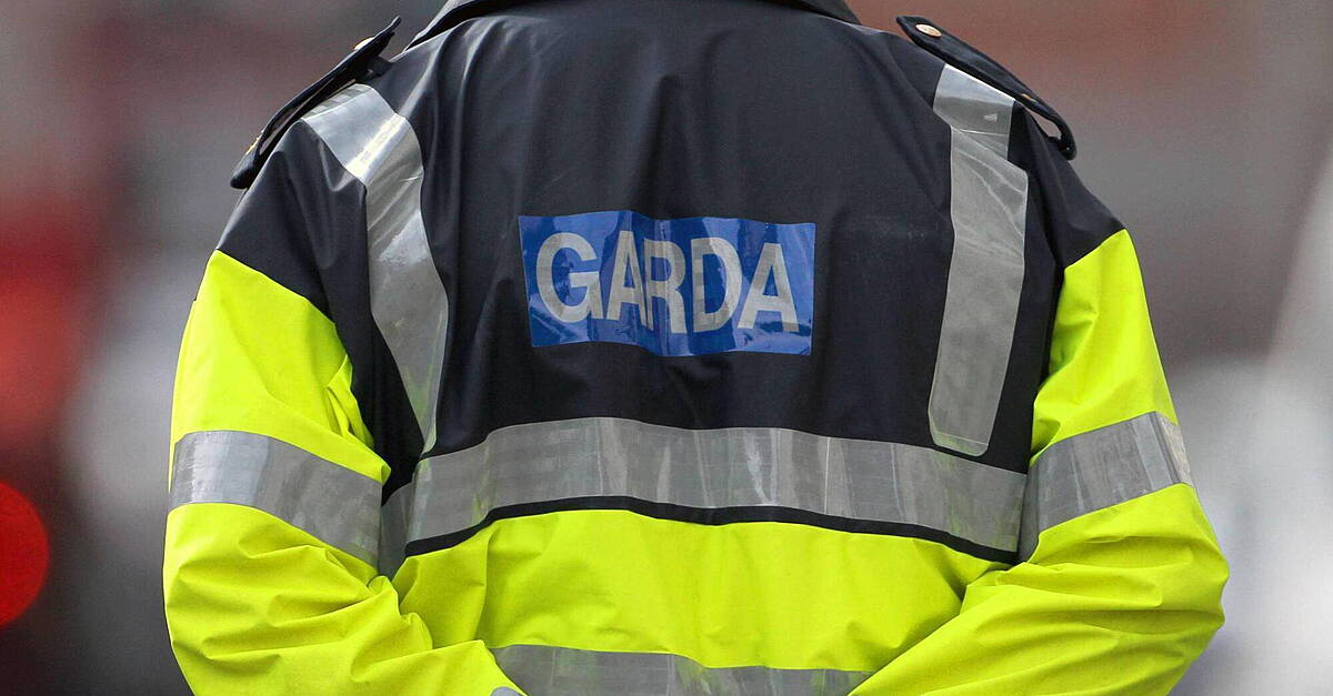 Woman, 60s, dies after road traffic collision in Dublin