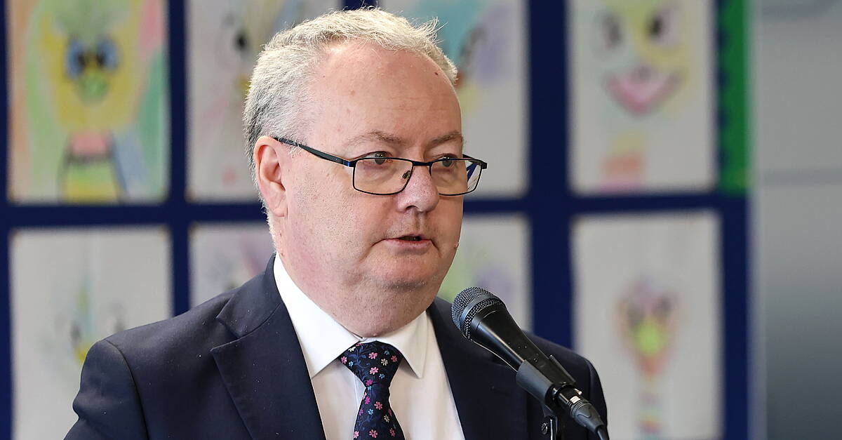 Discussions at ‘very early stage' on removing need for diagnosis to enrol in special class