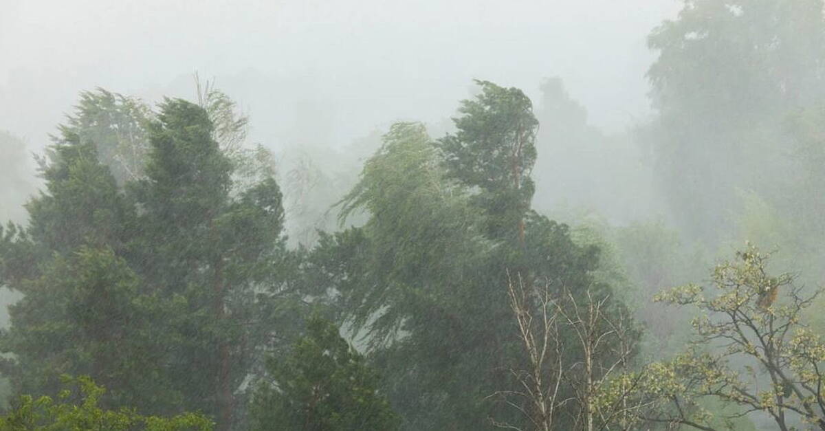No storm registry for DCB homeowners but 'more notice' promised on emergency accommodation