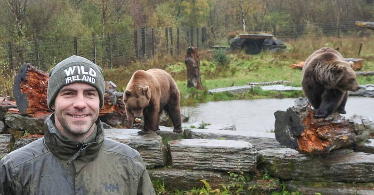 Photo: donegaldaily.com Russian bears find home in donegal after five year rescue mission