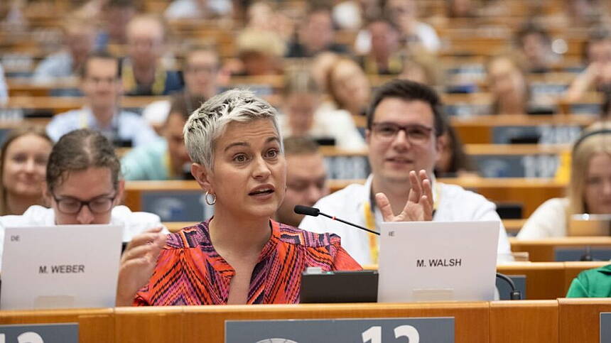 Local MEP says EU vote on 'nudification apps' sends clear message ...