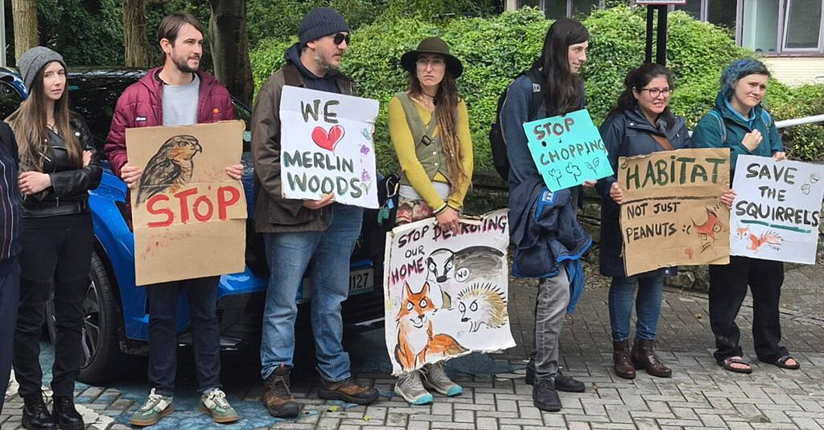 David Merlin Rugby Injunction granted against further felling at Merlin Woods | GalwayBayFM