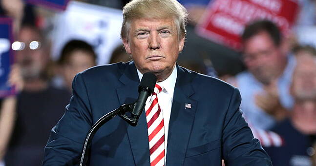 UFC arena under construction on White House lawn for Donald Trump's 80th Birthday | Hotpress
