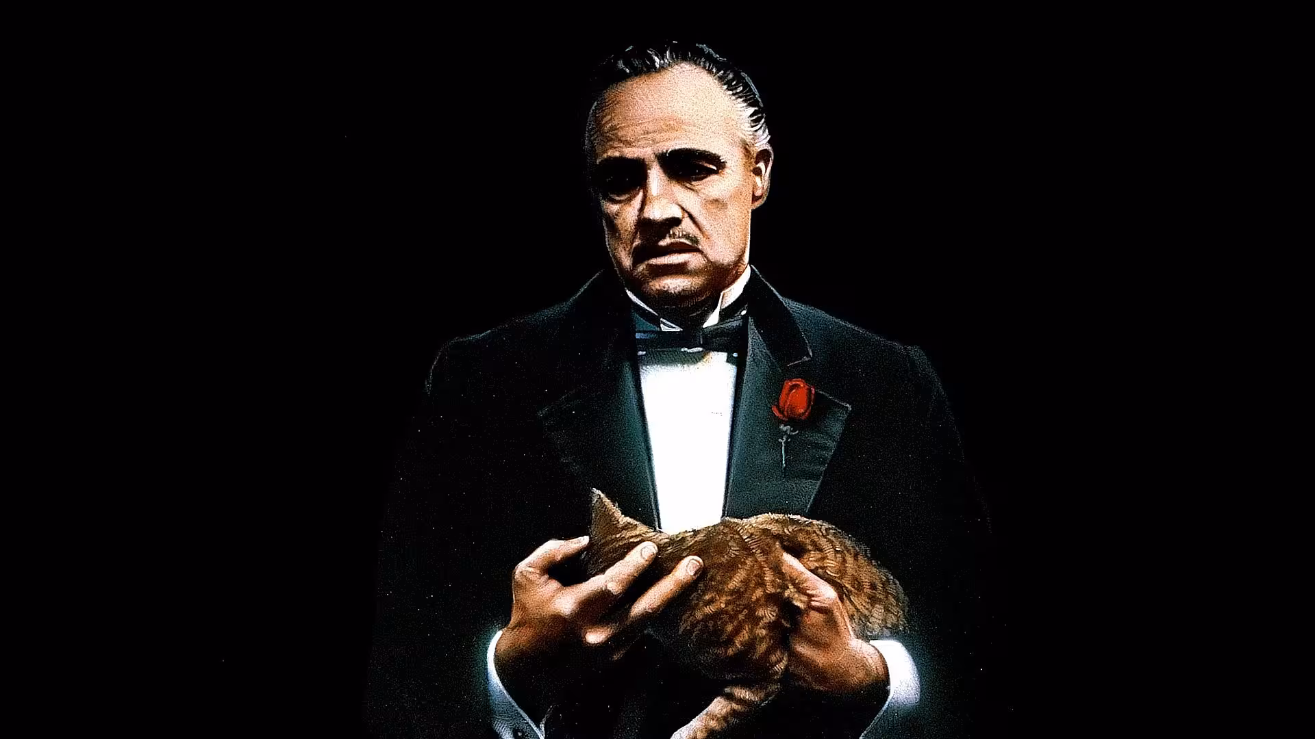 7 Movies That Are Better Than The Books