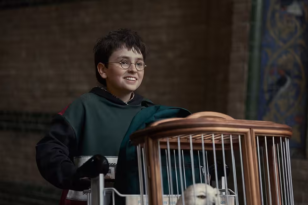 Harry Potter series Where to watch