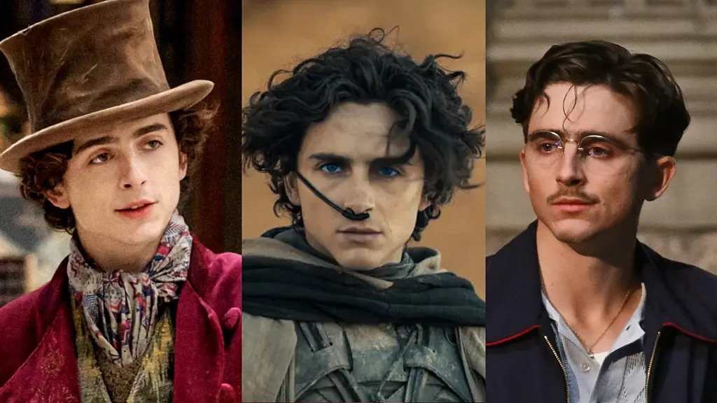 Timoth&eacute;e Chalamet&rsquo;s 7 Best Performances Ranked: From Dune to Call Me By Your Name