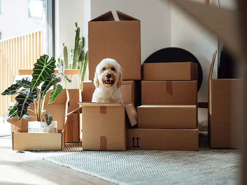Average age of moving out in Ireland is 27
