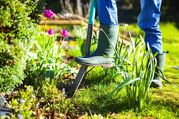 Getting your garden ready for summer
