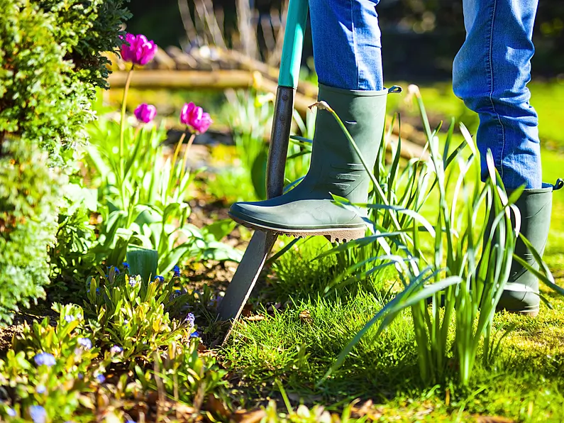 Getting your garden ready for summer
