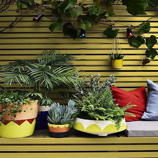 Paint Like a Pro: How to Add Colour to Your Garden with A Painted Fence