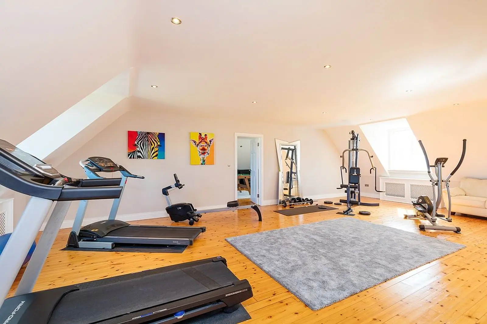 Five of the best home gyms on the market right now
