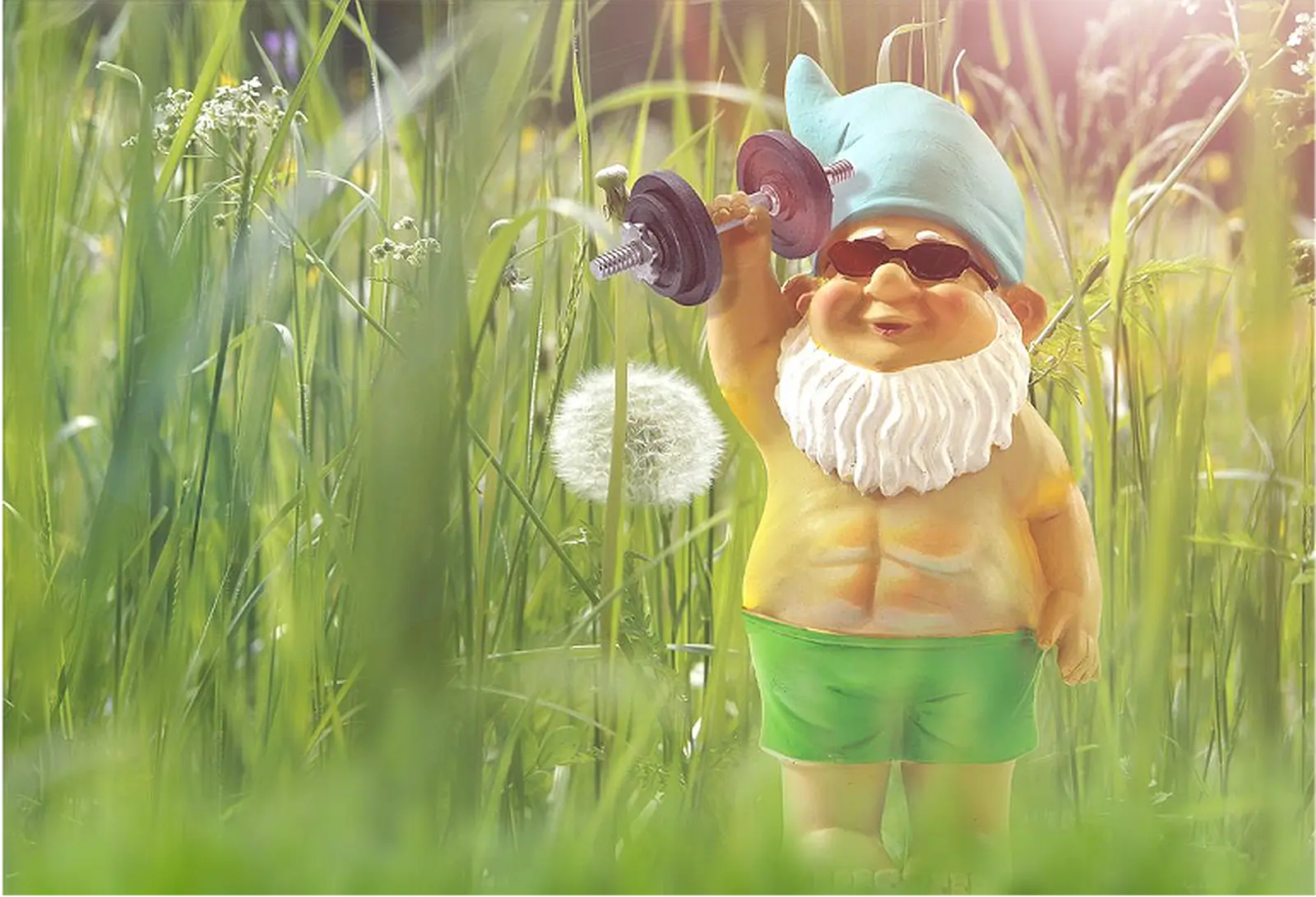 Get your garden in shape for summer