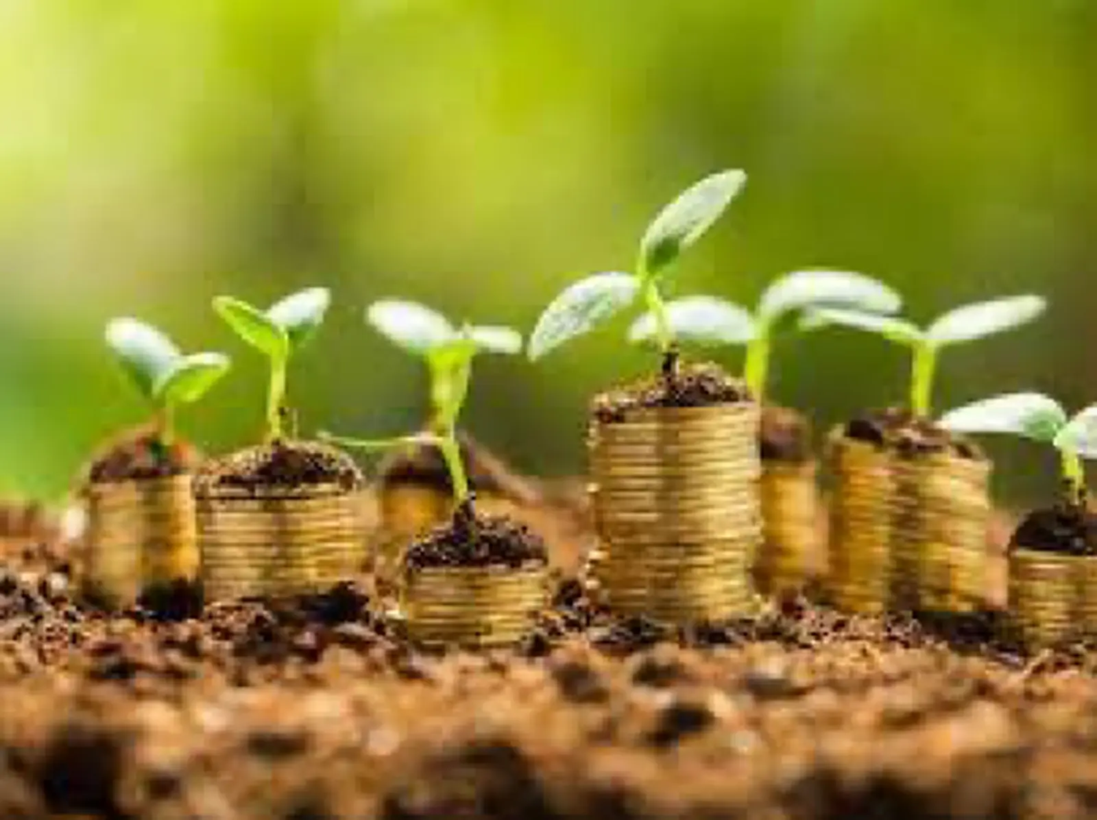 Get Ready for Great Green Rates