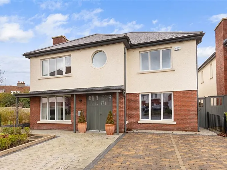 Brennanstown Wood is a New Year delight