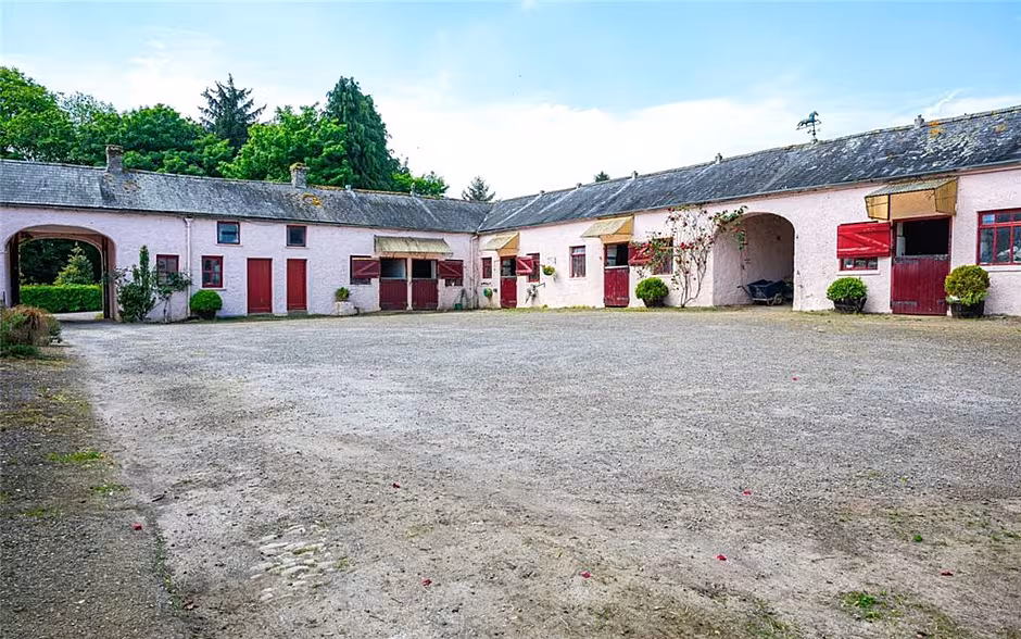 Another wonderful home for a horse in Co Cork
