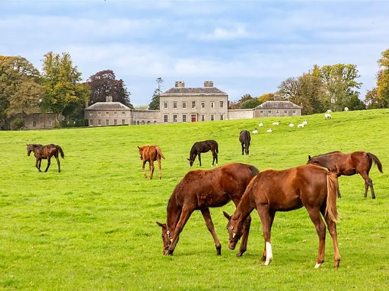 Five of the best homes for horses