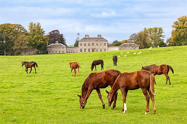 Five of the best homes for horses