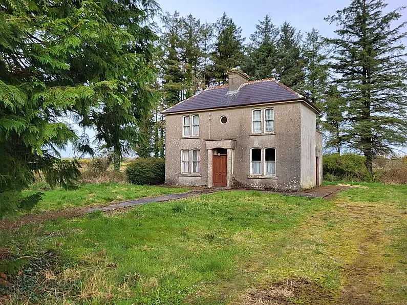 Opportunity Knocks in Co Mayo