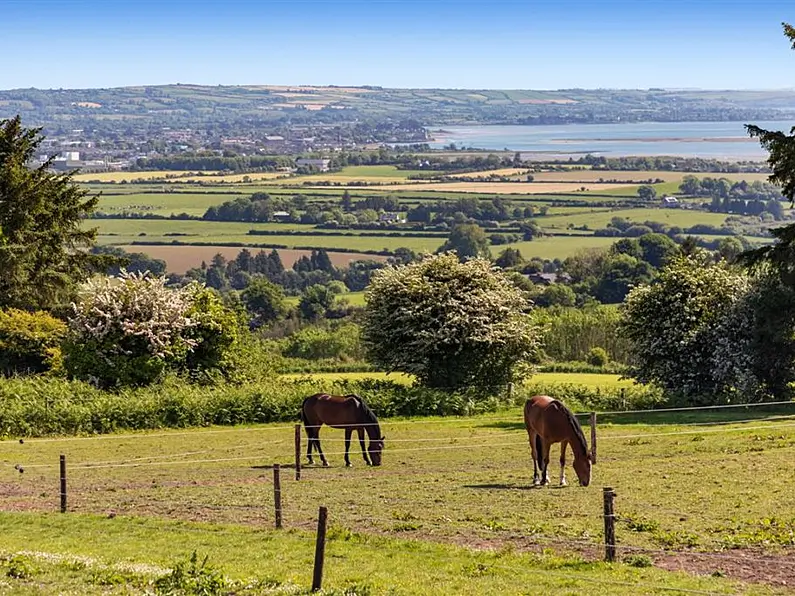Five of the best homes for a horse