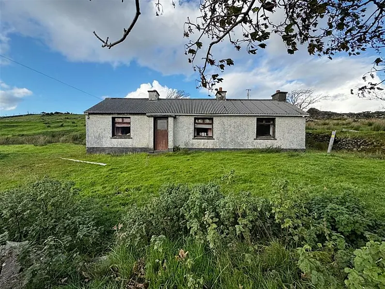 A Donegal delight going for a steal
