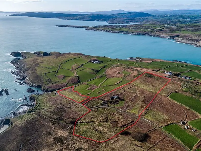 The Farmhouse has endless potential from tip to Toe!