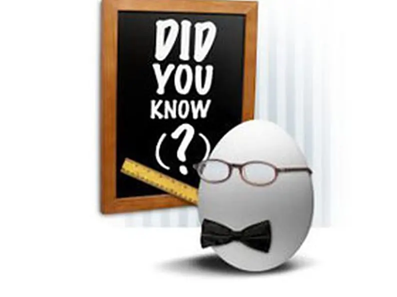 Investment Mortgages &ndash; Did you know?