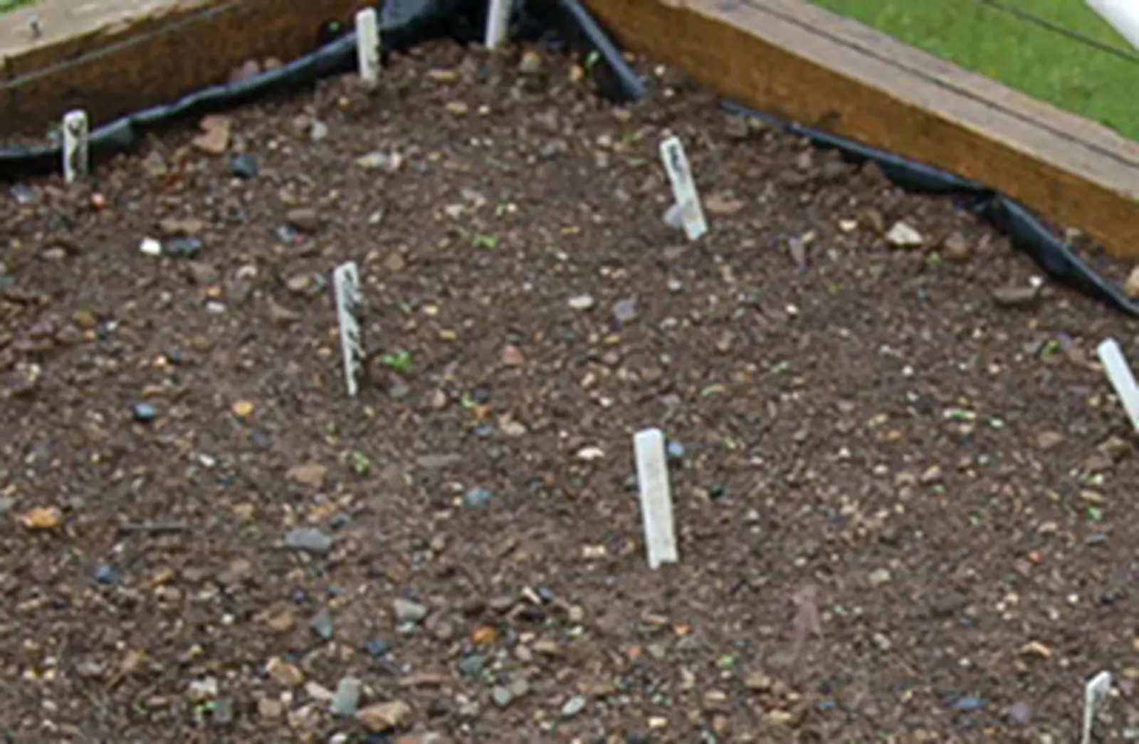 Quick Tip - How to identify what you grow