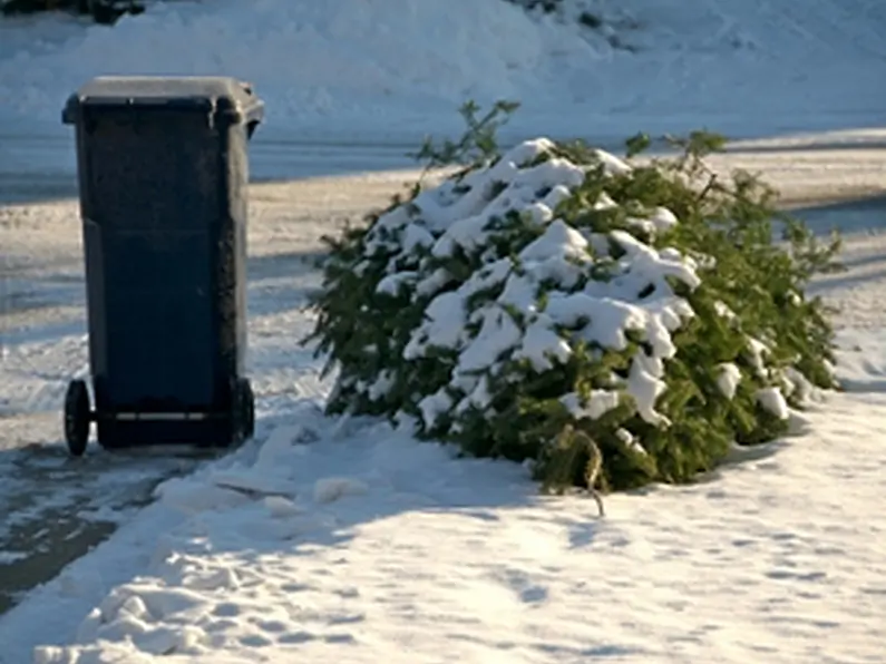 Recycle your Christmas tree!