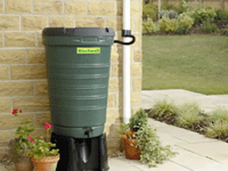 Water Butt: Handy 'gadget' to conserve rain water