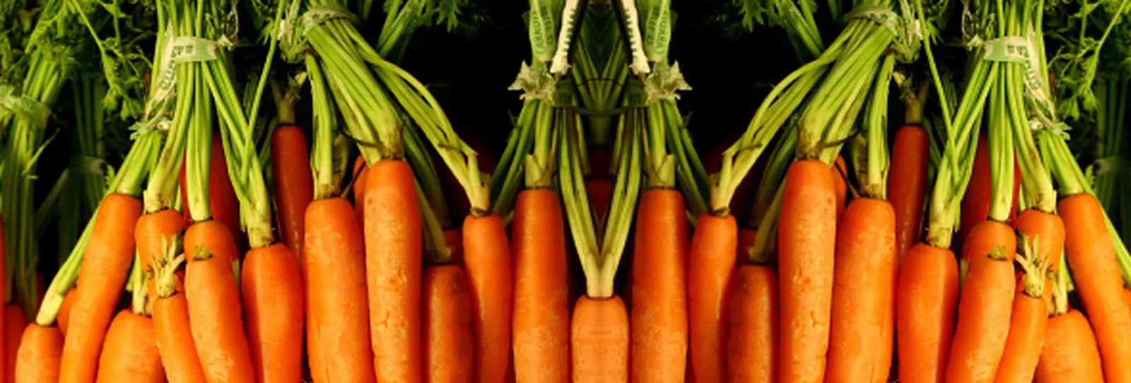 Grow your own Carrots