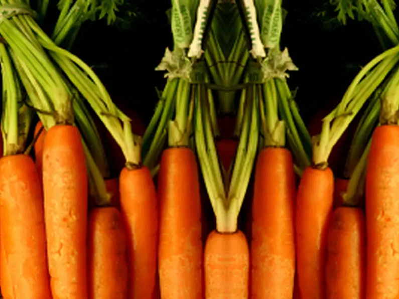 Grow your own Carrots