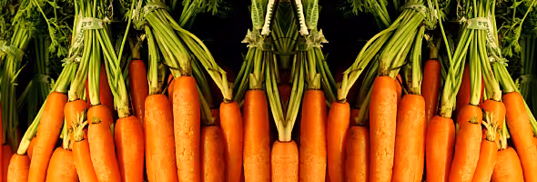 Grow you own Carrots