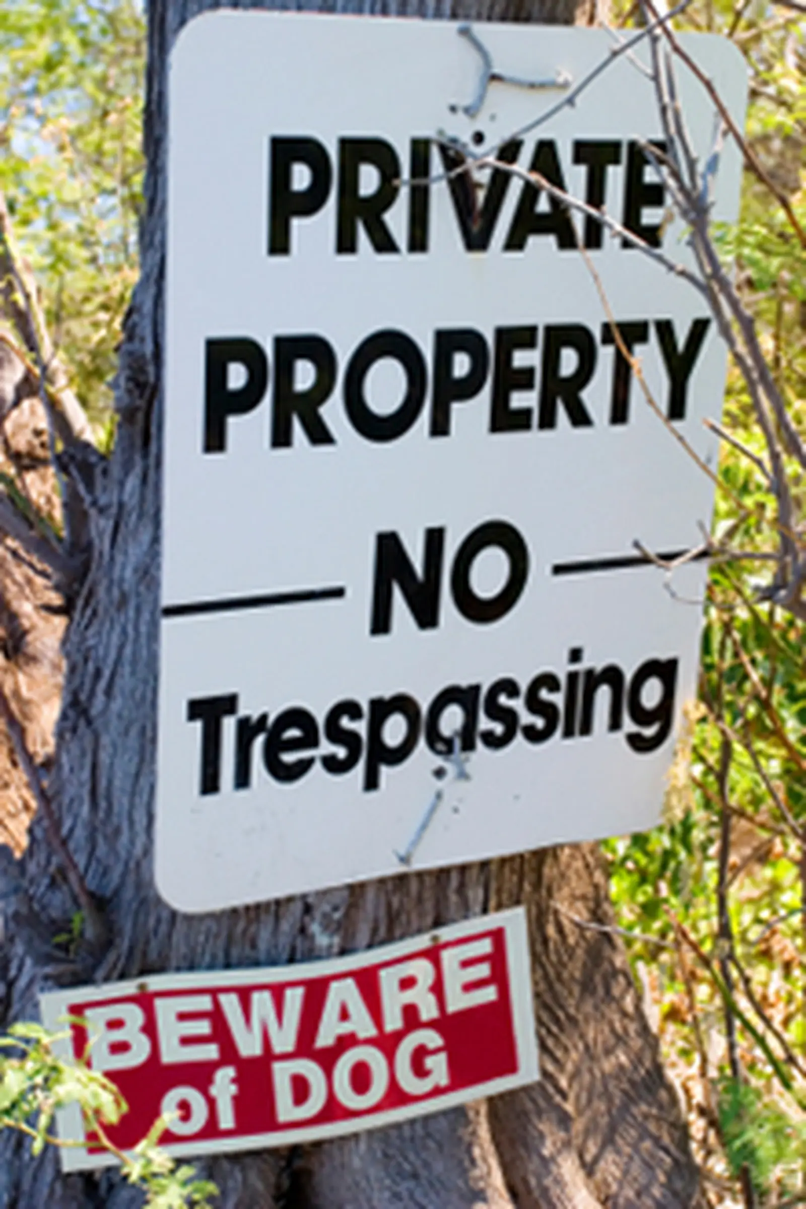 Mortgage Arrears: Are we heading for repossession &ldquo;disaster&rdquo;?