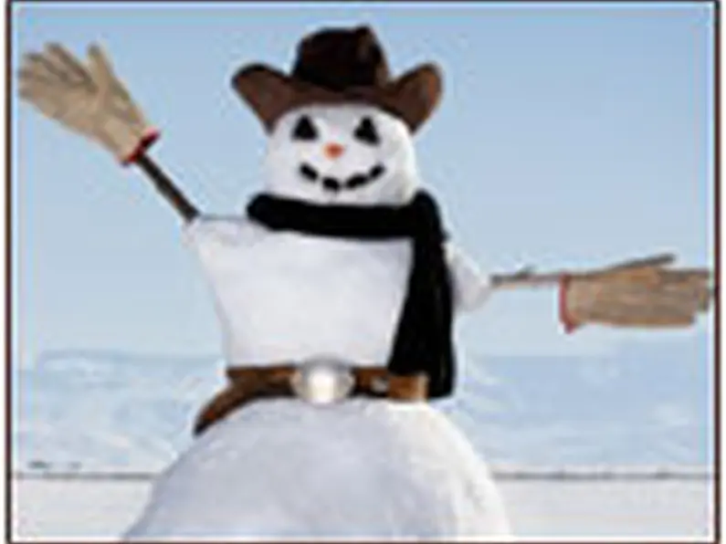 Is the snow a welcome distraction to the current economic crisis?