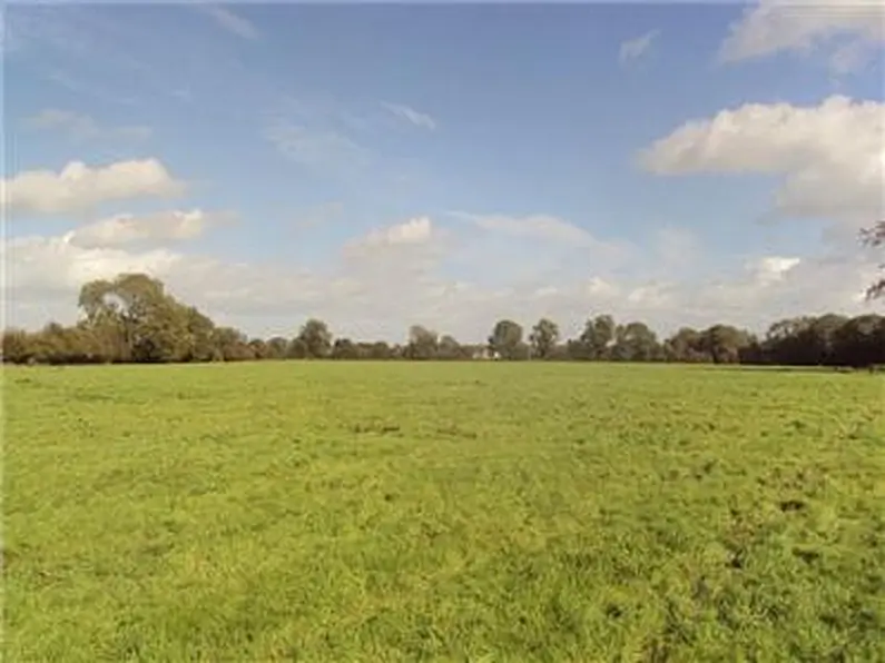 Enfield farm to go under the hammer