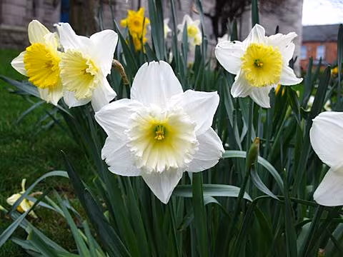 040