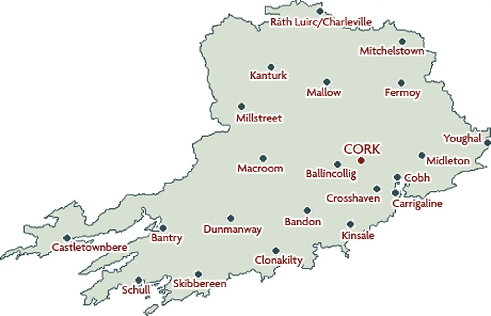 Focus on Cork