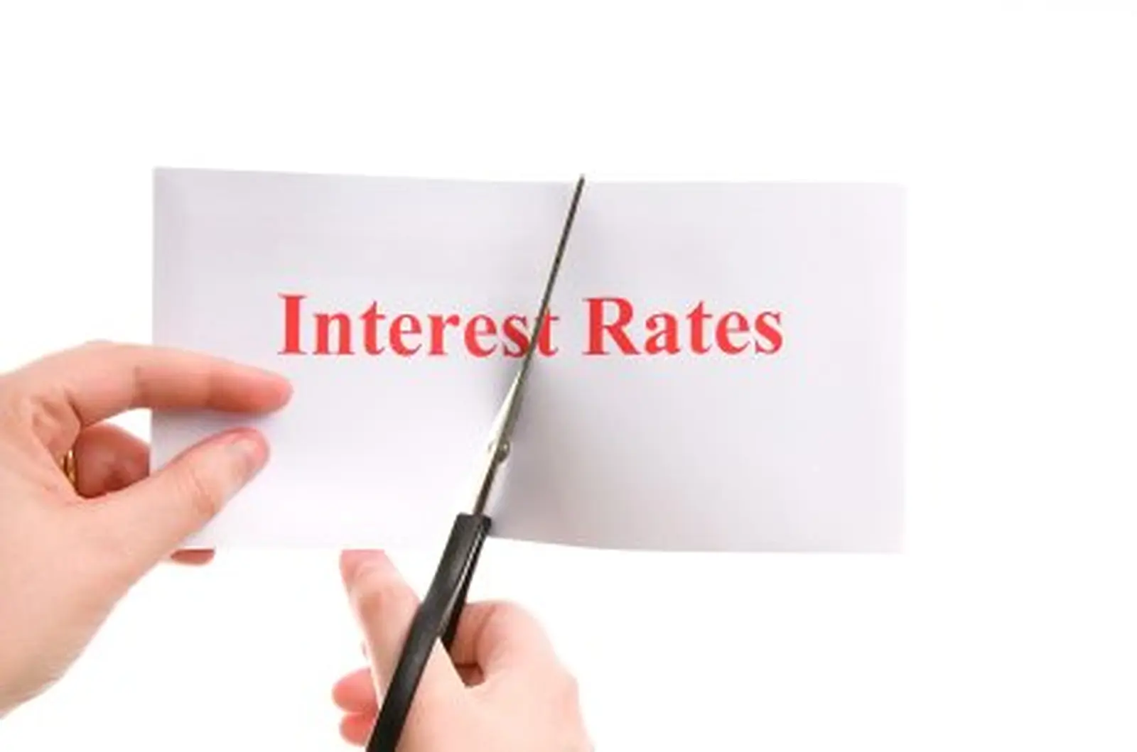 OECD calls for further ECB rate cuts