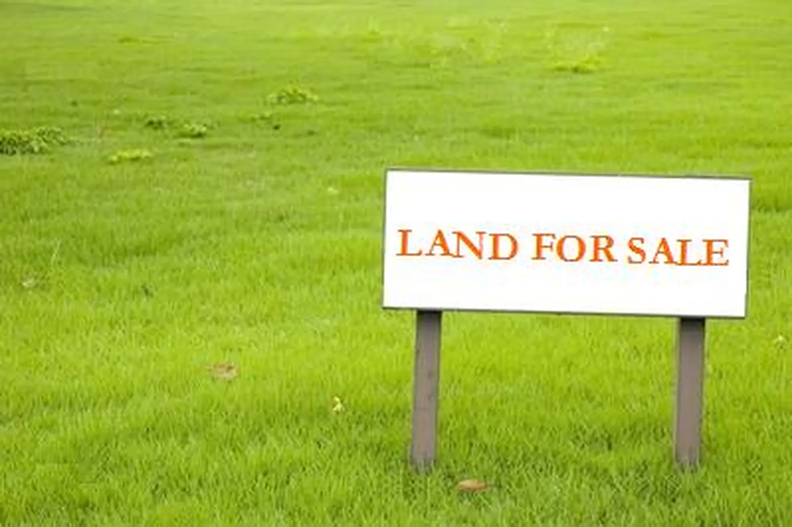 Land sales in first half of the year outperform 2011