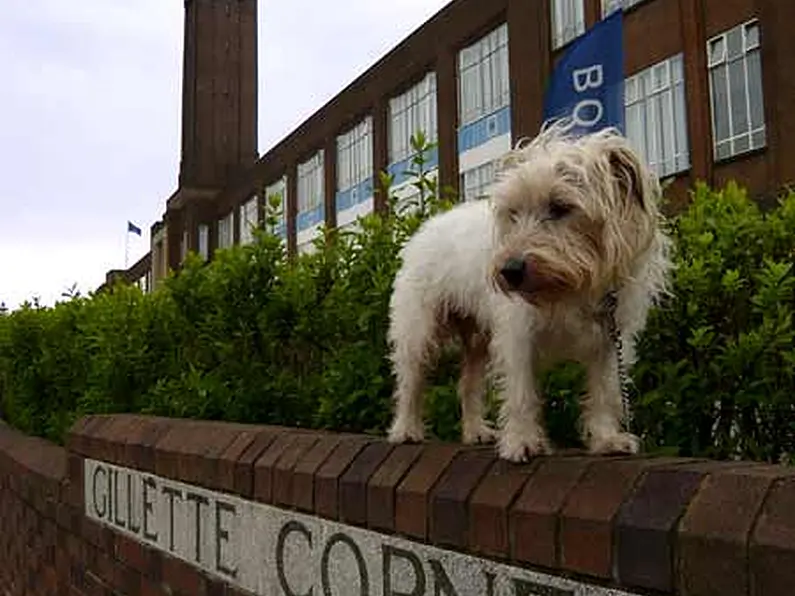London landmark put up for sale by NAMA