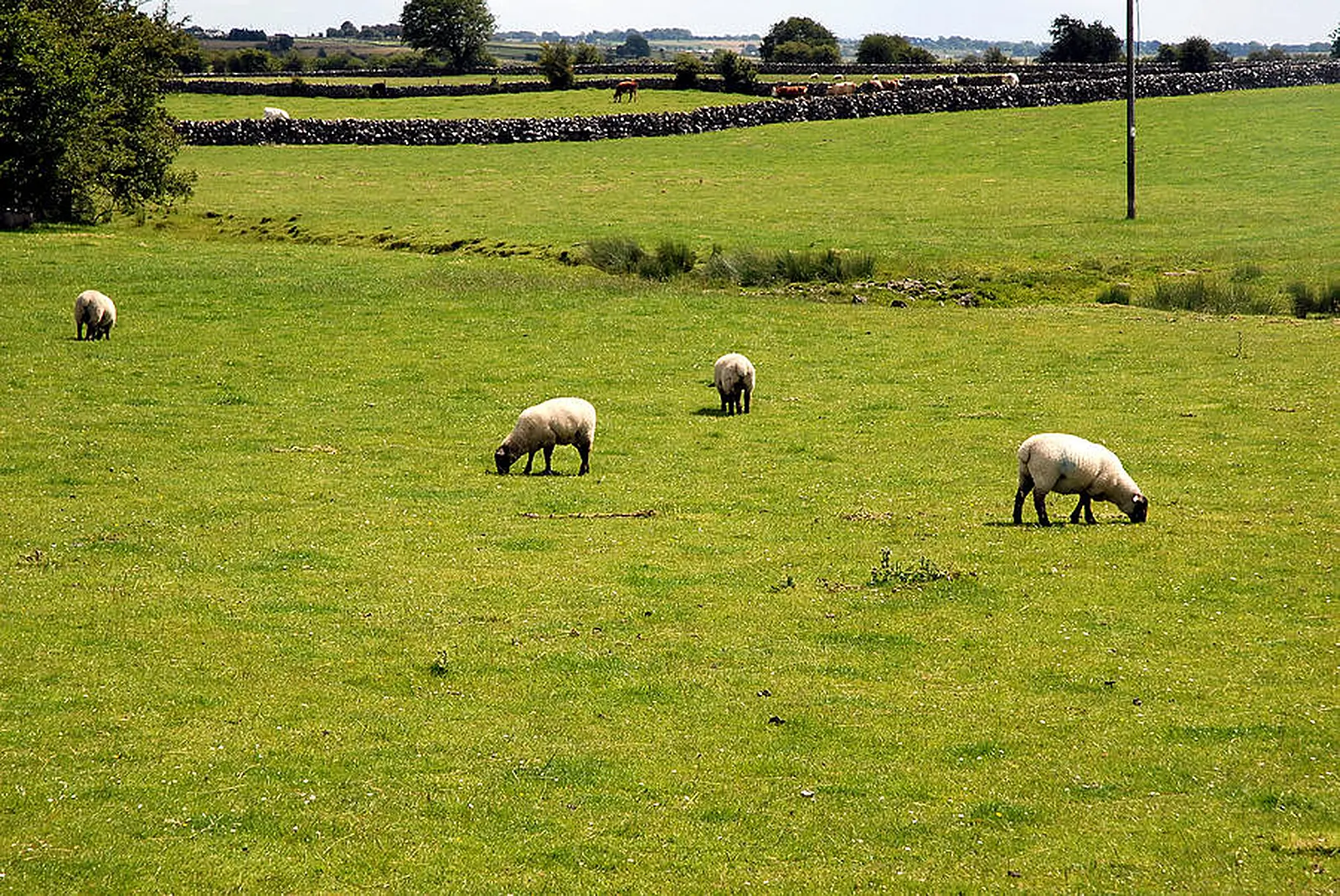 Price of farm land rose by 14.3% last year