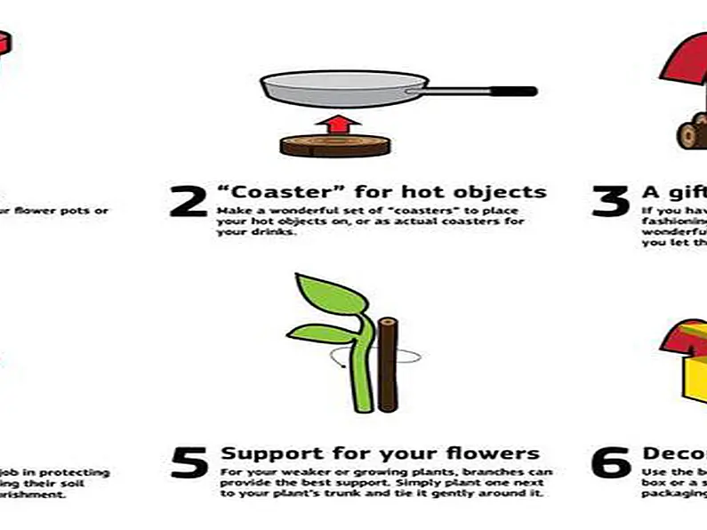 10 uses for your old Christmas tree