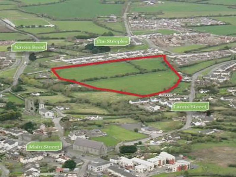 &euro;750k for Duleek housing site