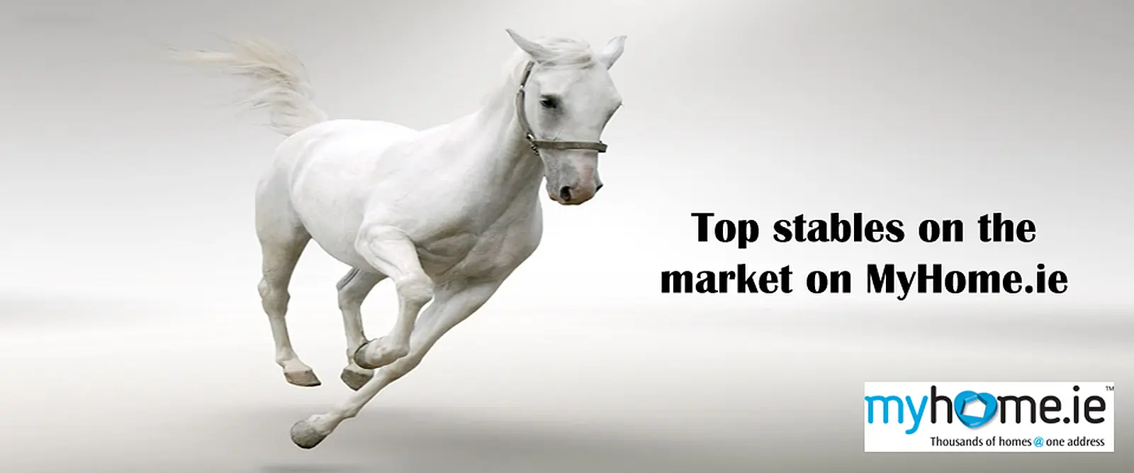 A stable market: Some of the finest stables for sale right now