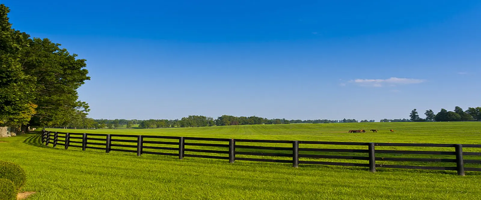 Growth in agricultural land prices continues at a moderate rate in 2015