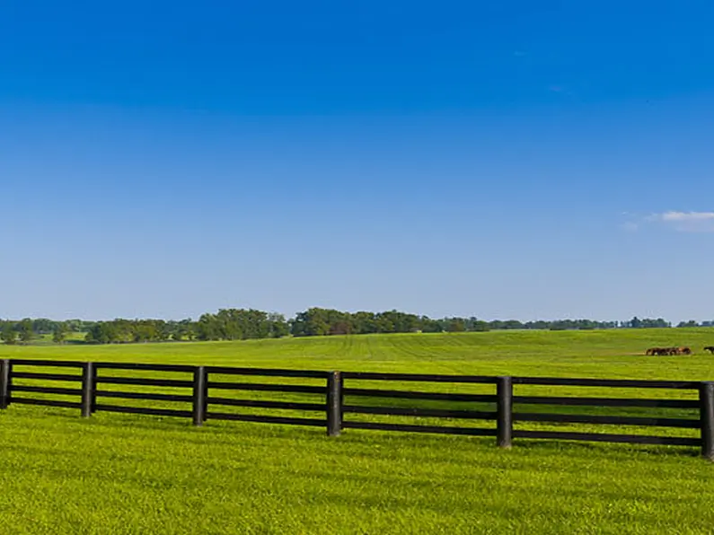Growth in agricultural land prices continues at a moderate rate in 2015