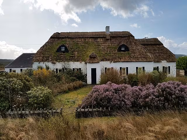 Day in the Bog